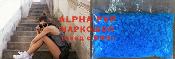 крисы Новозыбков