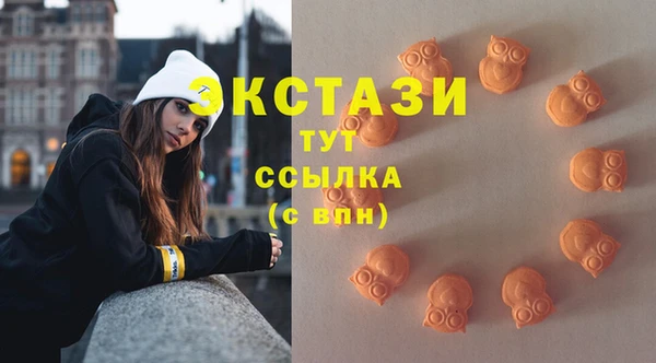 ECSTASY Новодвинск