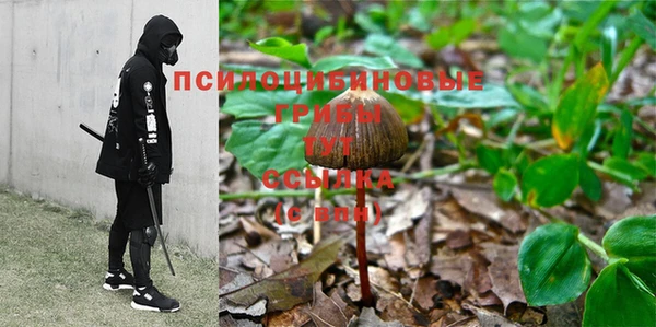 альфа пвп Няндома