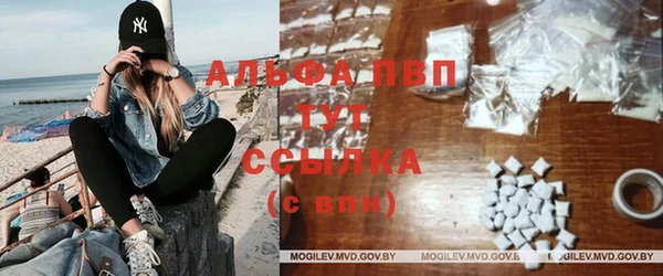 крисы Новозыбков