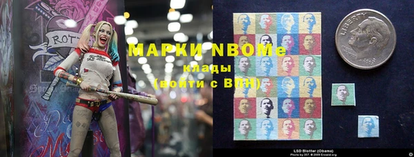 крисы Новозыбков