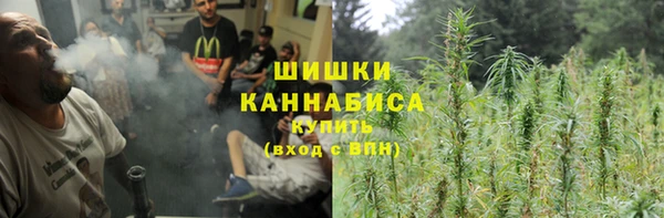 крисы Новозыбков