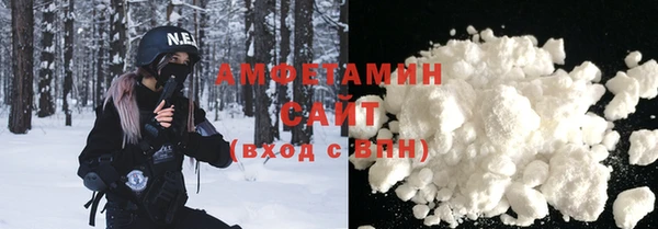 крисы Новозыбков