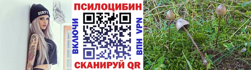Галлюциногенные грибы GOLDEN TEACHER  Снежинск 